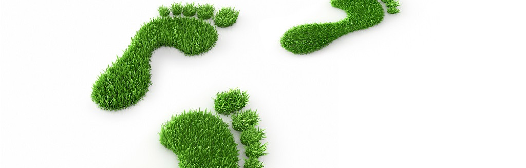 co2footprintklg1024x512.jpg